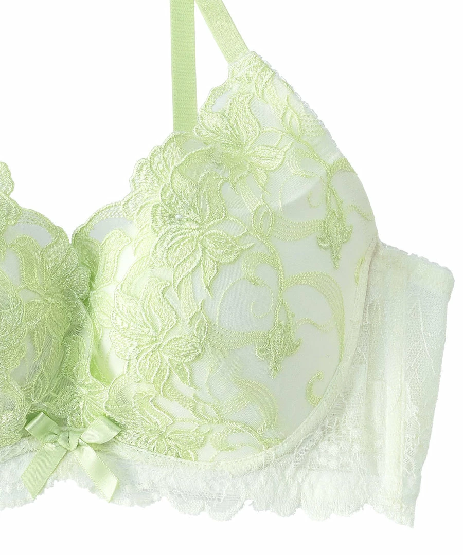 Aimerfeel Fleur Lace Side Slimming Lacy Push-Up Bra