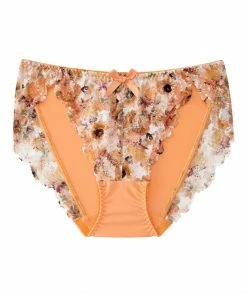 Aimerfeel Bikini Panty In Ramillete Floral Lace